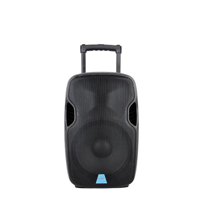 Accuracy Pro Audio CMB15AVX 15'' 120W battery powered plastic active trolley speaker sound system with 2 wireless microphone